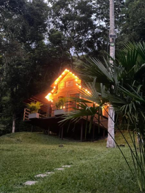 Cabañas Wilú